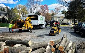 Best Lawn Dethatching  in Nocatee, FL