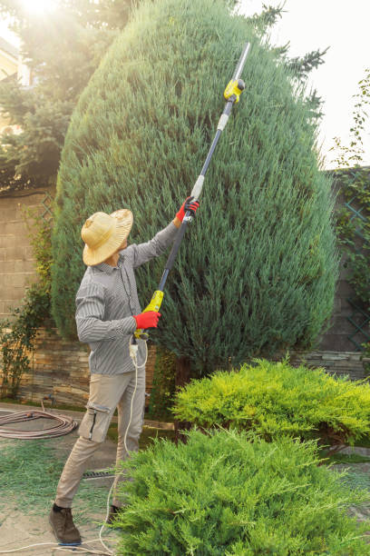 Best Commercial Tree Services  in Nocatee, FL